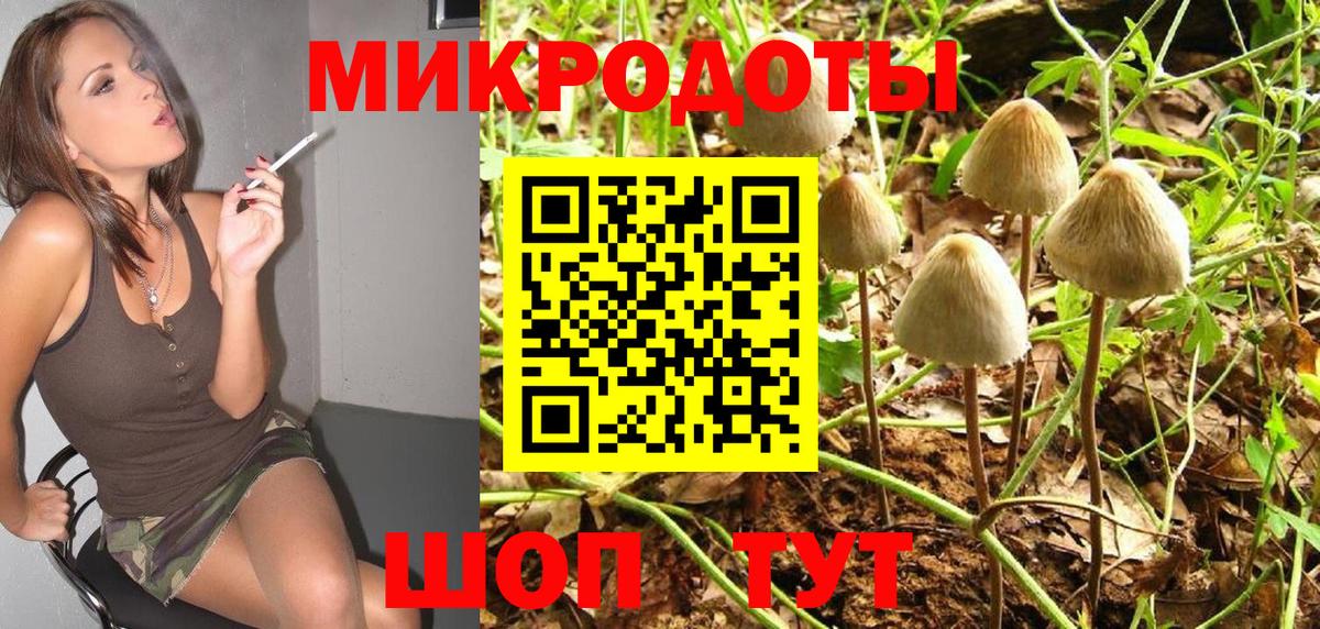 Галлюциногенные грибы MAGIC MUSHROOMS Калининград