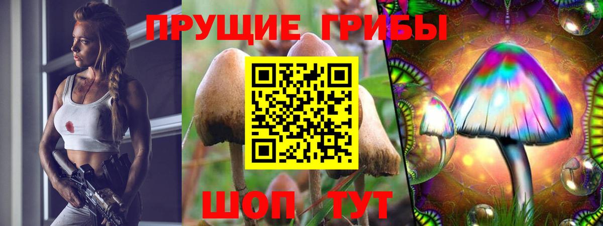 Псилоцибиновые грибы мицелий  Вход с VPN  Калининград 