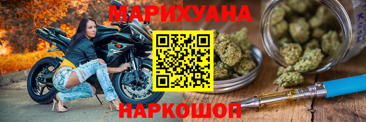 Каннабис индика Калининград